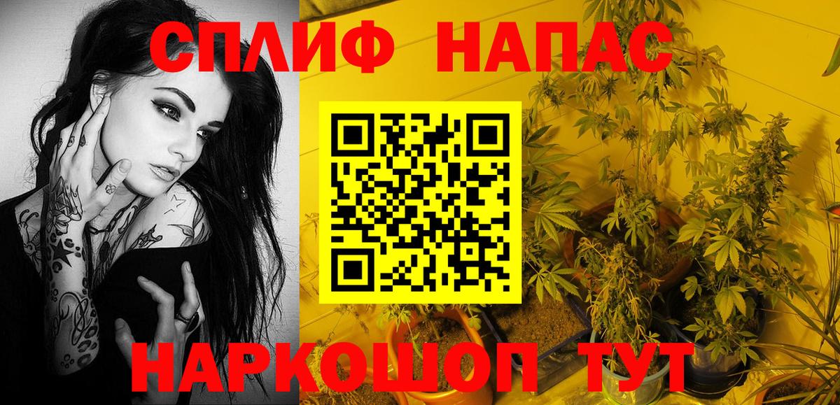 Конопля AK-47  Марихуана SATIVA & INDICA  Орехово-Зуево  Вход с VPN 